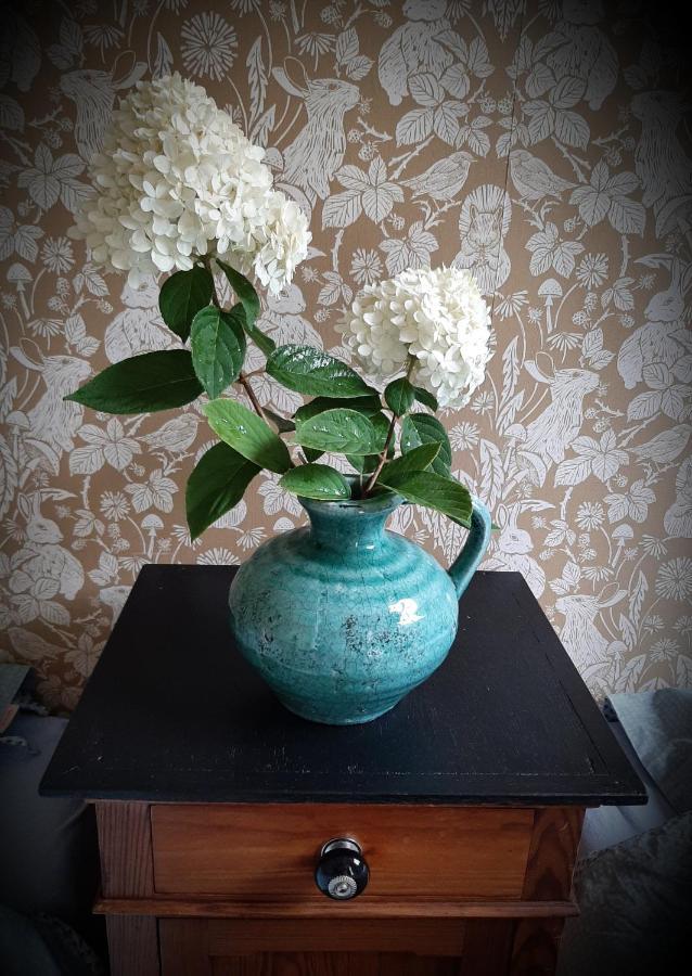 B&B De Verre Kijker Barsingerhorn エクステリア 写真